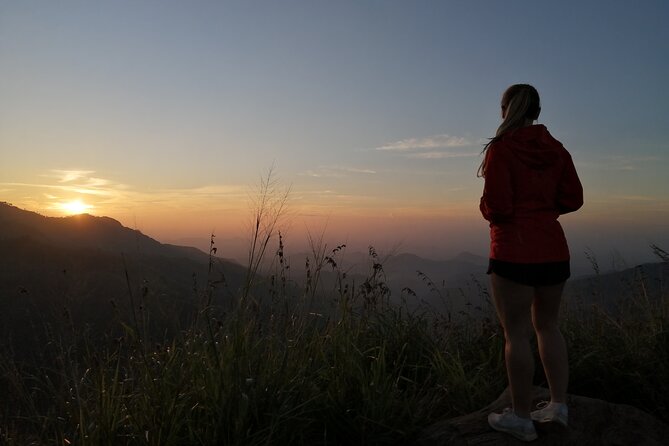 Explore the Best of Ella. Hiking, Waterfalls and Cultural Tour - Meeting Point