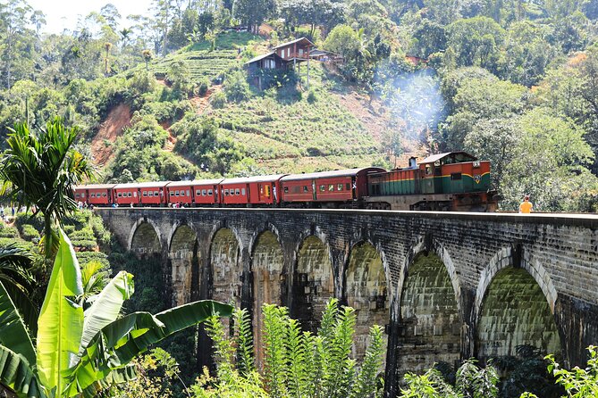 Explore the Best of Ella. Hiking, Waterfalls and Cultural Tour - Cancellation Policy