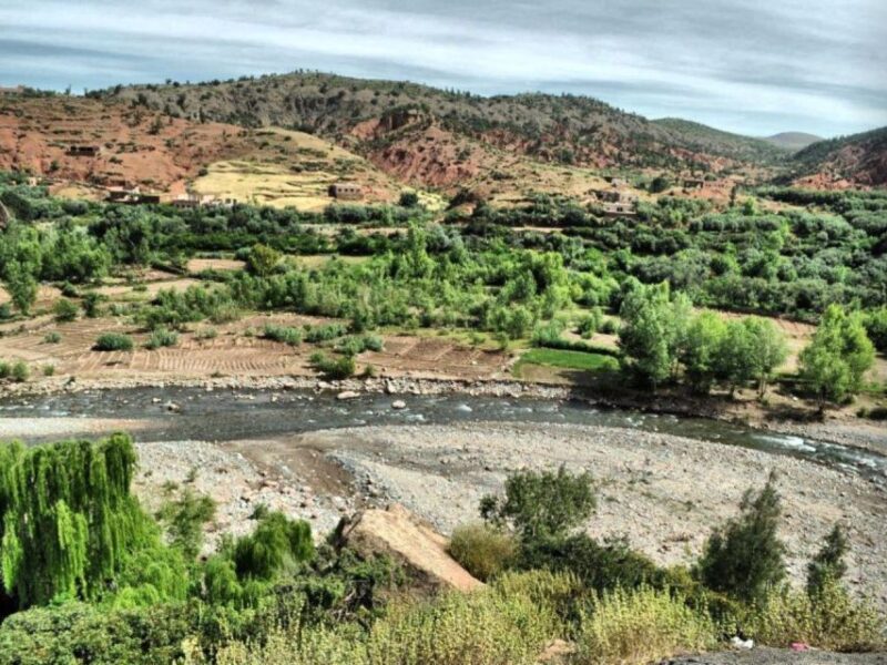 Explore the Best of Ourika Valley: Waterfall and Camel Ride. - Guided Tour of Ourika Valley