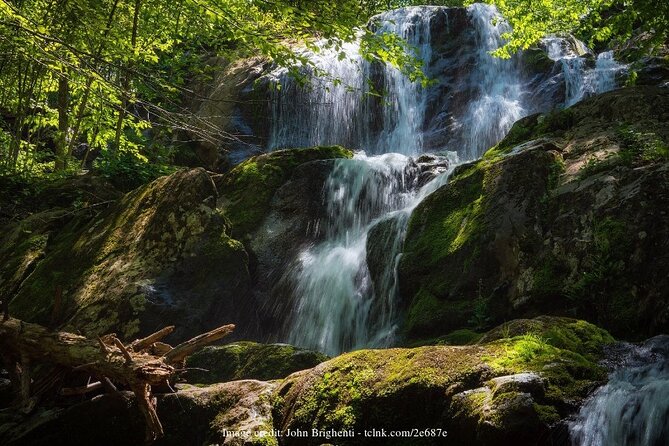 Explore the Blue Ridge Mountains: Private Day Trip From Asheville - Reviews and Tour Operator