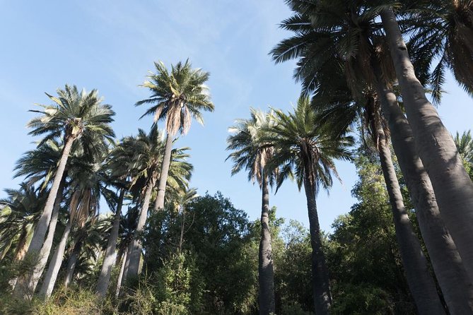 Explore the Coastal Mountains - Private Day Trip From Santiago - Physical Requirements and Accessibility