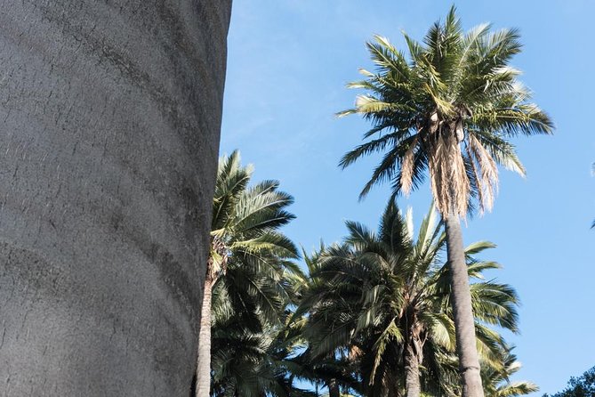 Explore the Coastal Mountains - Private Day Trip From Santiago - Exploring La Campana National Park