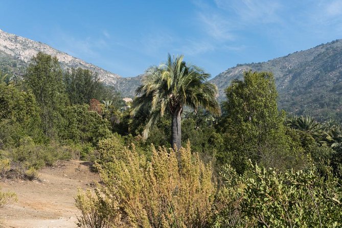 Explore the Coastal Mountains - Private Day Trip From Santiago - Guest Reviews and Ratings