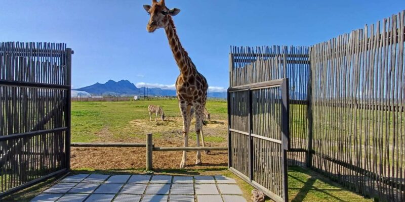 Explore the Combination of Wildlife and Wine Tasting Tour. - Cancellation Policy