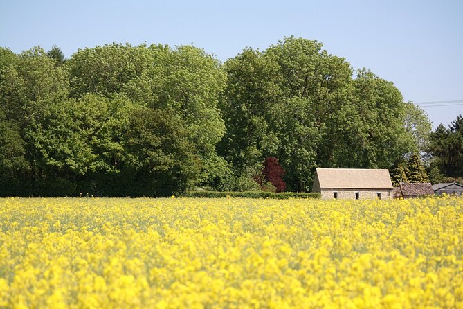 Explore the Cotswolds (Private Day Tour From London) - Transportation and Logistics
