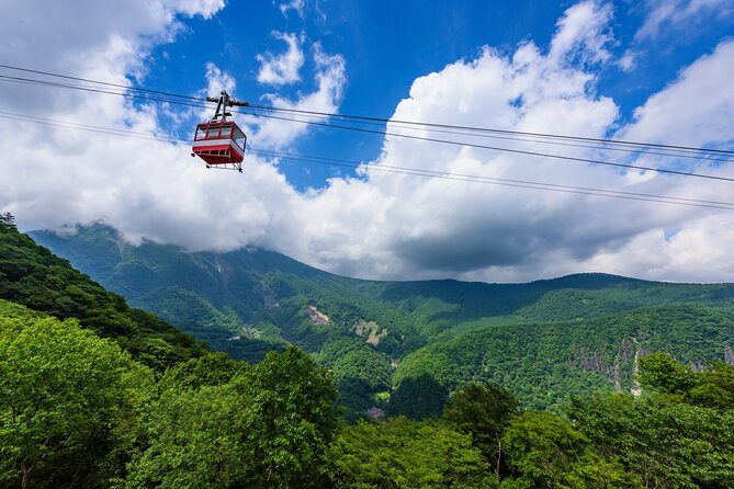 Explore the Culture and History of Nikko With This Private Tour - Tour Details