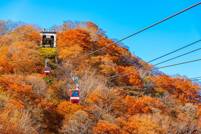 Explore the Culture and History of Nikko With This Private Tour - Cancellation Policy