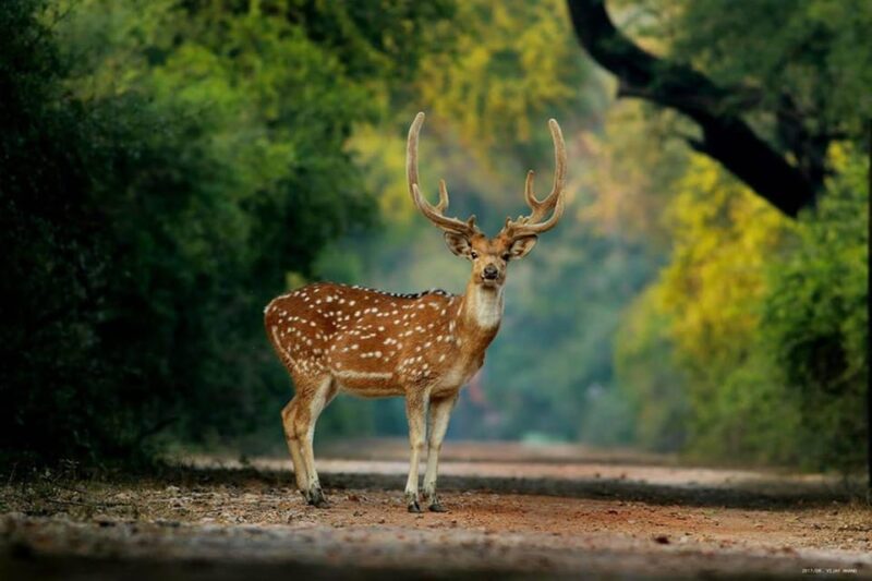 Explore The Delhi Agra Jaipur Tour With Bharatpur 5 Days - Key Points