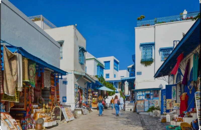 Explore the Essentials of Tunis in a Private Half Day 5 in 1 - Transportation Details