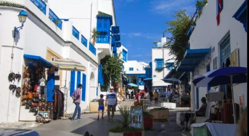 Explore the Essentials of Tunis in a Private Half Day 5 in 1 - Whats Included in the Tour