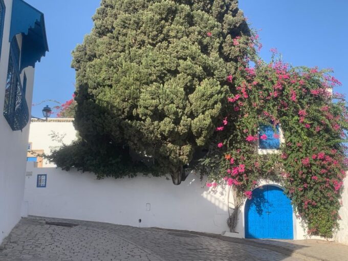 Explore the Essentials of Tunis in a Private Half Day 5 in 1 - Accessibility Information