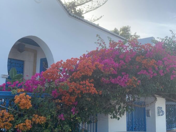 Explore the Essentials of Tunis in a Private Half Day 5 in 1 - Security and Safety Measures