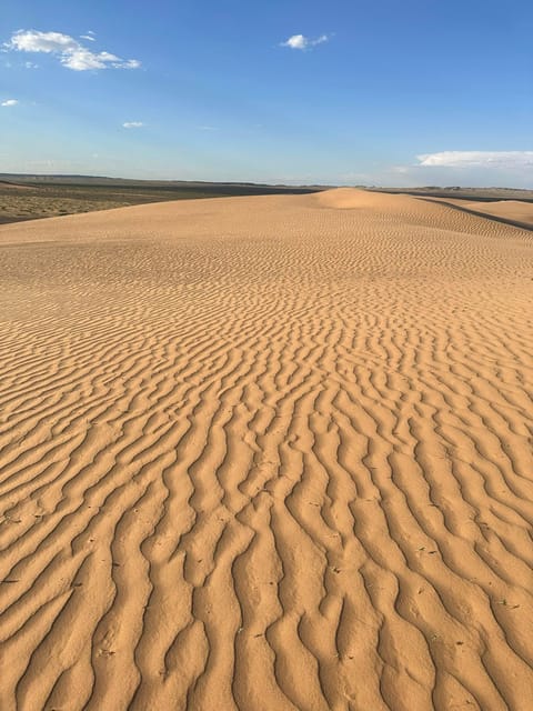 Explore the Fascinating Mongolian Gobi Desert - Key Points