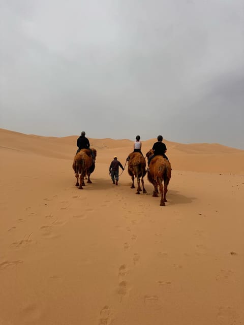 Explore the Fascinating Mongolian Gobi Desert - Discovering Dinosaur Fossils