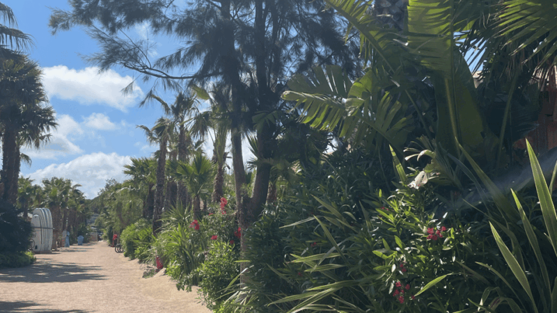 Explore the French Riviera : Nice, Monaco, and Saint-Tropez - Cultural Experience and Attractions