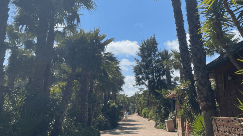 Explore the French Riviera : Nice, Monaco, and Saint-Tropez - Booking and Availability