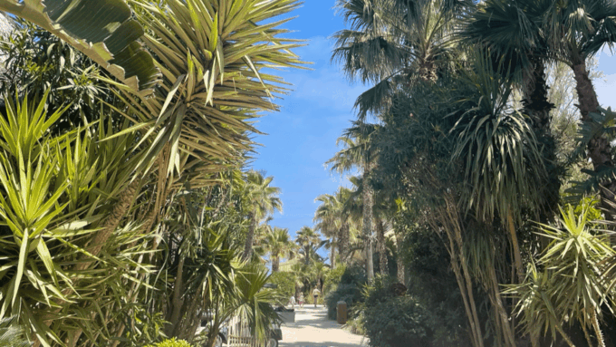 Explore the French Riviera : Nice, Monaco, and Saint-Tropez - Explore the Medieval Village of Èze