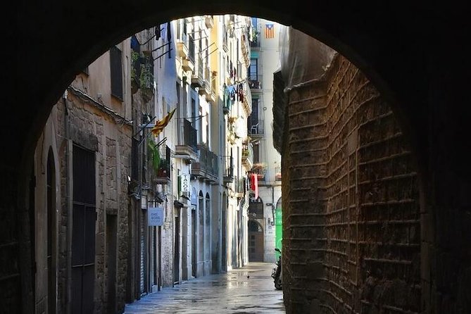 Explore the Gothic District and Sagrada Familia - Professional Guides Expertise