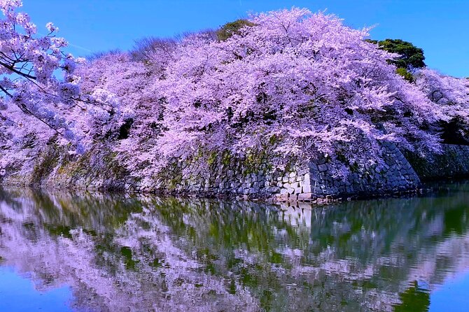 Explore the Historic Castle Town of Hikone From Osaka - Maximize Your Experience With Insider Tips