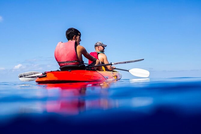 Explore the Island Dragonera by Kayak - Experience Highlights