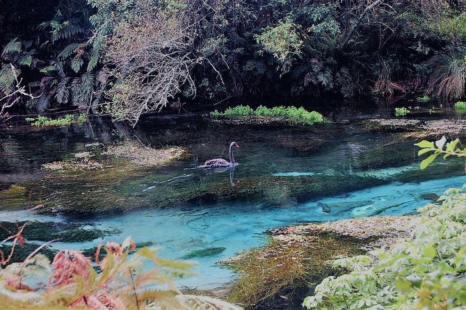 Explore The Lakes Tour - Volcanic History and Landscapes