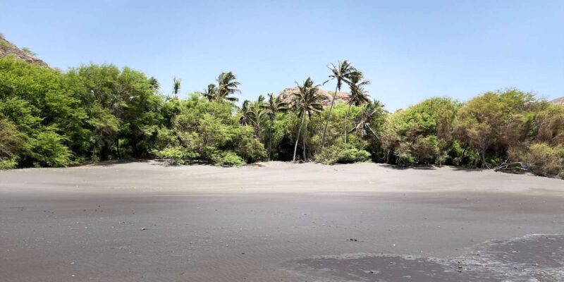Explore the Largest Banana Plantation in Cabo Verde - Pricing and Booking