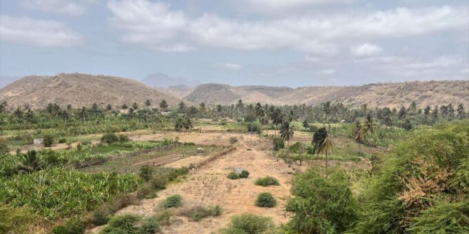 Explore the Largest Banana Plantation in Cabo Verde - Language and Group Size