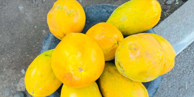 Explore the Largest Banana Plantation in Cabo Verde - Frequently Asked Questions