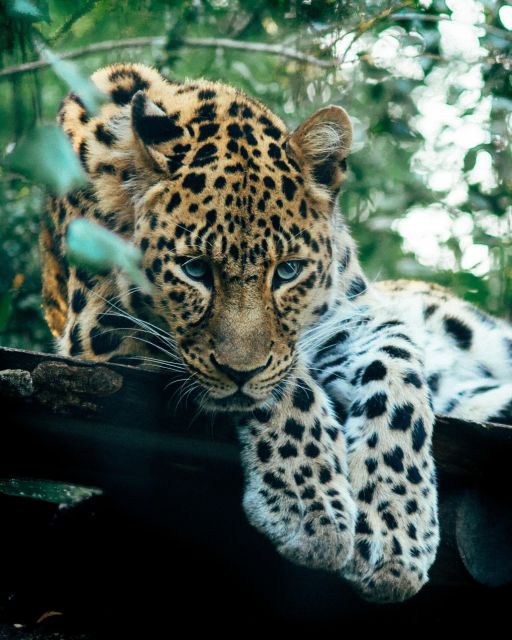 Explore the MAGIC of Sri Lanka in 7days -4 Star Hotels Incl. - Tour Guide Services