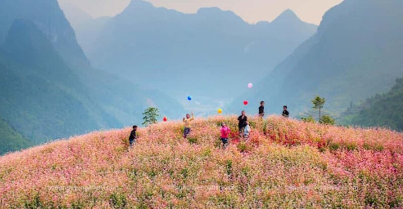 Explore the Majestic Ha Giang With Direct Bus From Ha Noi - Onboard Experience