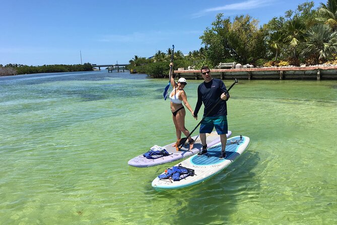 Explore the Mangrove Creeks With an ALL Day Tandem Kayak Rental - Paddling Through Serene Creeks