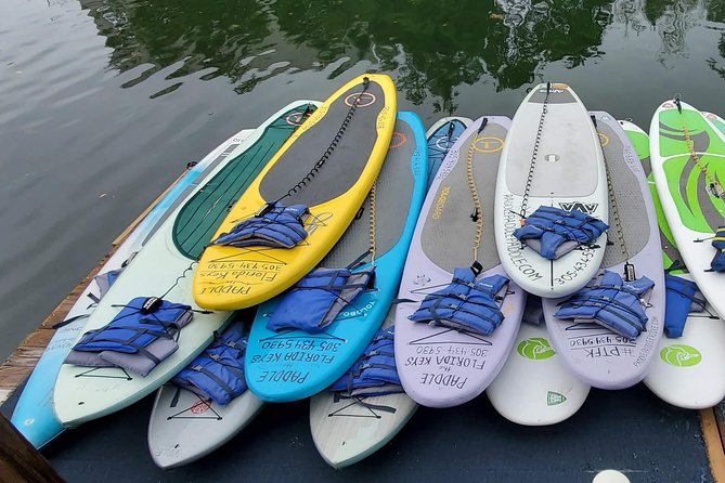 Explore the Mangrove Creeks With an ALL Day Tandem Kayak Rental - Rental Equipment and Supplies