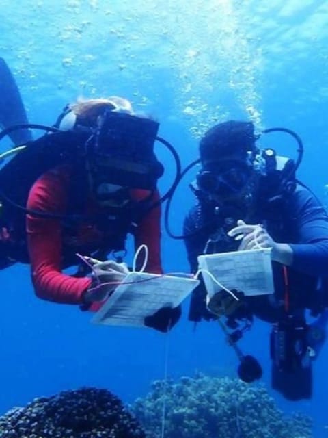 Explore the Mangroves and Coral Reefs of Malaysia - Key Points