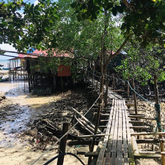 Explore the Mangroves and Coral Reefs of Malaysia - Exploring the Marine Ecosystems