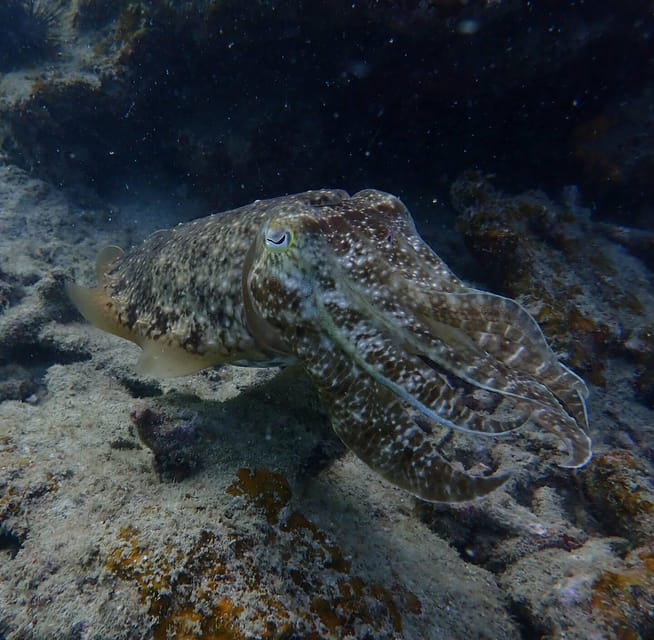 Explore the Mangroves and Coral Reefs of Malaysia - Connecting With Local Communities