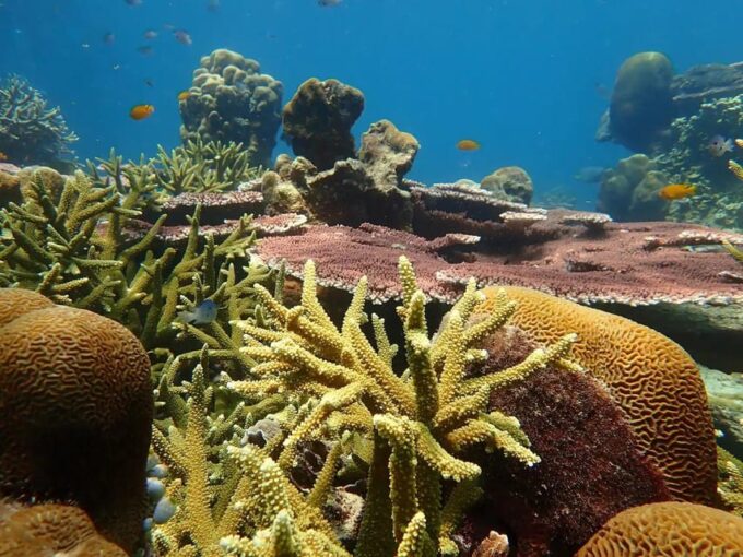 Explore the Mangroves and Coral Reefs of Malaysia - Inclusions and Equipment Provided