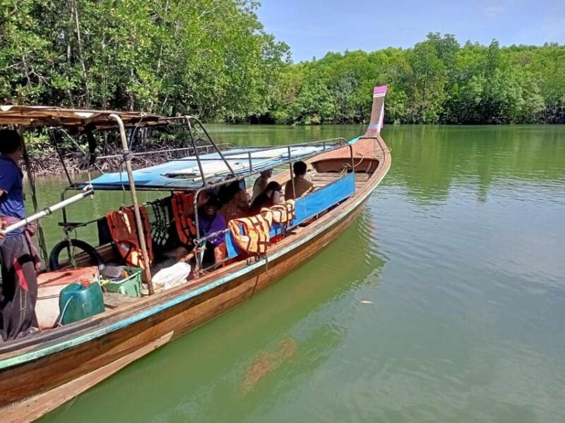 Explore the Mangroves Forest - Activities in the Mangroves Forest