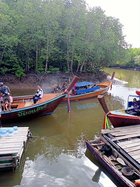 Explore the Mangroves Forest - Exploring the Natural Beauty