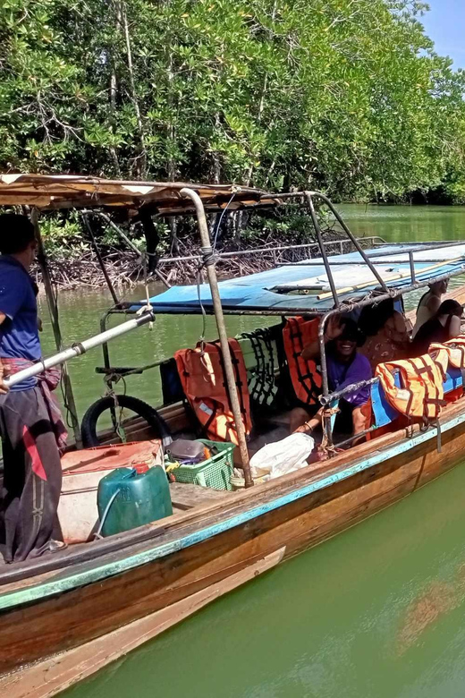 Explore the Mangroves Forest - Wildlife Spotting Opportunities
