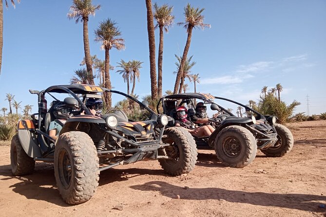 Explore the Marrakech Palm Desert in Buggy - Inclusions and Logistics