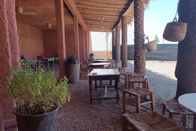 Explore the Marrakech Palm Desert in Buggy - Positive Customer Reviews