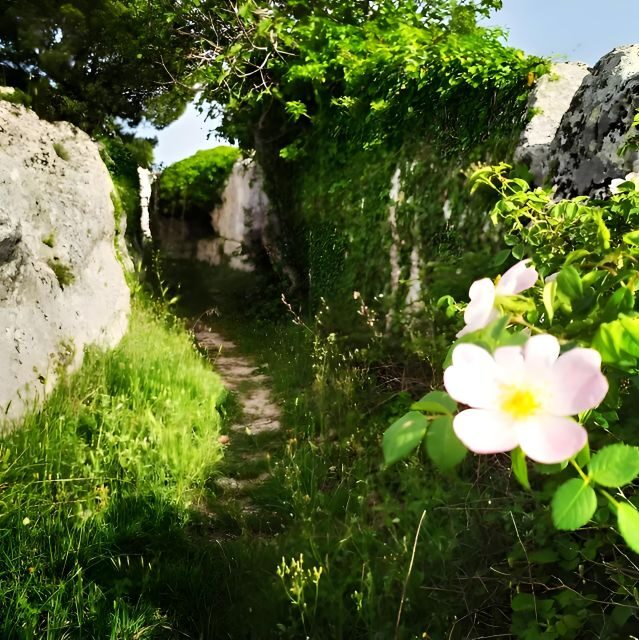 Explore the Murgia Materana UNESCO Park (Italian & Spanish) - Essential Items to Bring