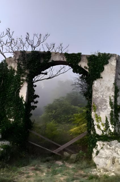 Explore the Murgia Materana UNESCO Park (Italian & Spanish) - Customer Experiences and Reviews