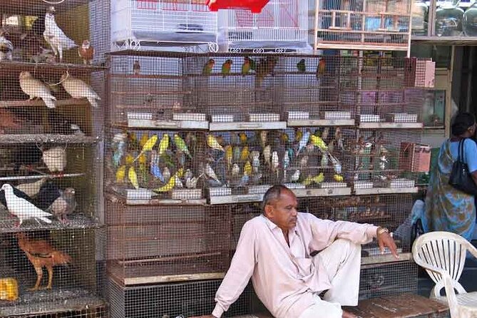 Explore the New Colorful Places in Mumbai Market Tour - Guest Experiences and Feedback