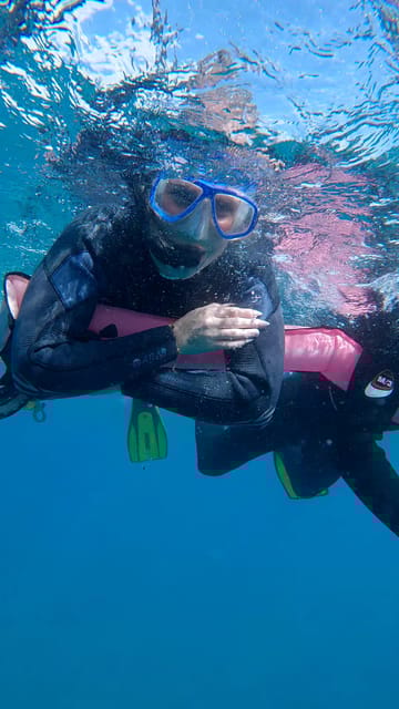 Explore the Ocean - Snorkeling for Beginners Los Cristianos - Key Points