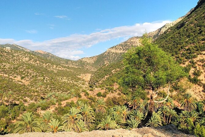 Explore the Paradise Vallez on a Guided Day Trip From Agadir - Meeting and Pickup Arrangements