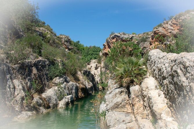 Explore the Paradise Vallez on a Guided Day Trip From Agadir - Visiting the Argan Cooperative