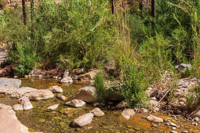 Explore the Paradise Vallez on a Guided Day Trip From Agadir - Trekking Through the Mountains