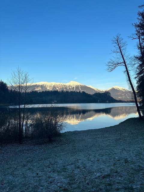 Explore the Power and Energy of Slovenia With Bookinguide - Discovering Bohinj Lake