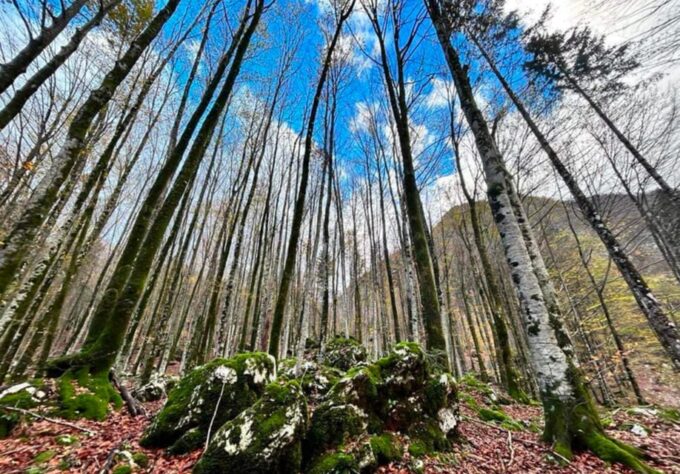 Explore the Power and Energy of Slovenia With Bookinguide - What to Bring